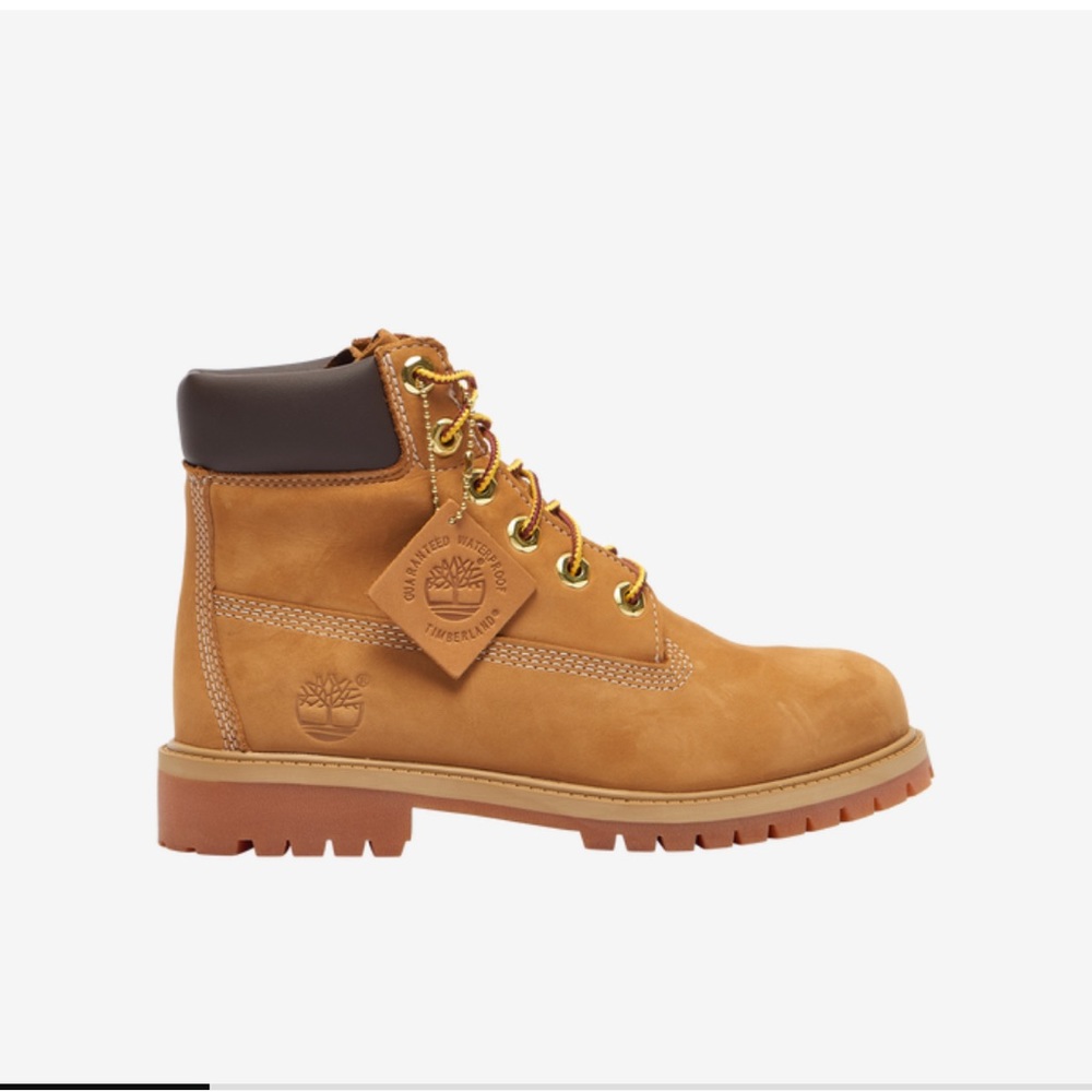 Timberland 6" Premium Waterproof Boots